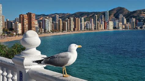 cruising en benidorm|Guía gay de Benidorm 2023: bares, playas, hoteles y cruising en。